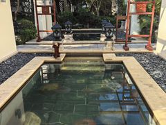 -苏州湾·王焰温泉