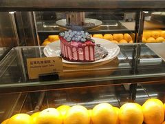 -Wagas沃歌斯(枫蓝国际店)