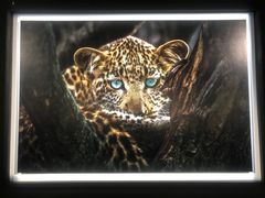 -罗红摄影艺术馆