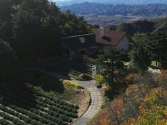 -云峰山自然风景区