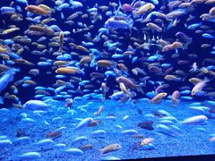 -成都浩海立方海洋公园