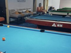 -伟林台球(力帆店)