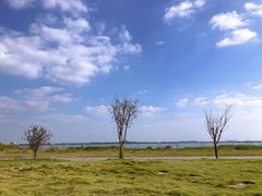 -七的湖·晚芳亭·阳澄湖农家菜·大闸蟹(莲花岛店)