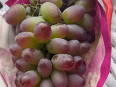 -马陆小张葡萄园农家乐