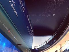 -迪拜水族馆及水下动物园