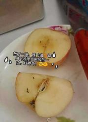 英树玻尿酸羊胎素化妆品-英树玻尿酸羊胎素专营化妆品