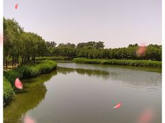 -大兴滨河森林公园