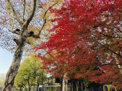 -星巴克(西湖天地店)