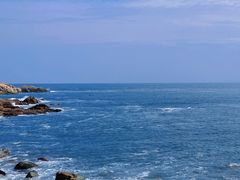 -广东惠东海龟国家级自然保护区