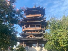 -杭州半山国家森林公园