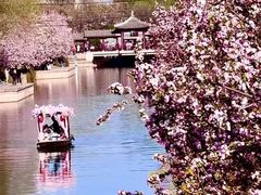 -元大都城垣遗址公园