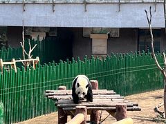 -沈阳森林动物园