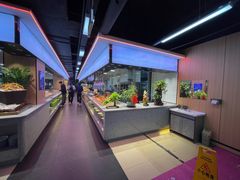 -新艺自助美食城(中山路店)