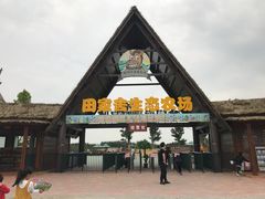 -迪茵湖田家舍生态农场