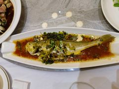 -老绍兴养和饭店(向阳不夜城店)