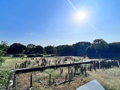 -河姆渡遗址博物馆