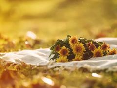 -GODIVA(印象城店)