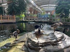 -南宫五洲植物乐园