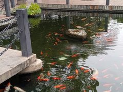 -长阳创谷