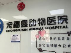 -宠福鑫动物医院(城北分院)