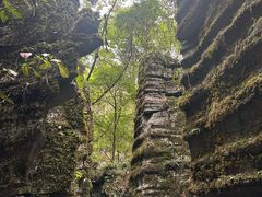 -梭布垭石林景区