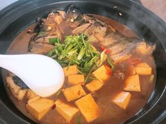 红烧鱼头豆腐-秋香鱼馆(世凹桃园店)