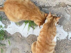 -太二酸菜鱼(石家庄万象城店)