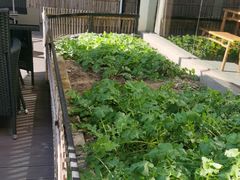 -黄山老妈·土菜(碧桂园店)