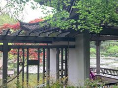 -杭州植物园