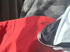 -金塔沙漠胡杨林景区