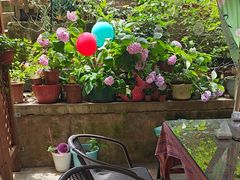 -鱼乐岛餐厅·户外花园主题餐厅