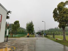 -前小桔亲子创意农场·草莓采摘·露营烧烤