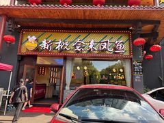 -新概念来凤鱼(璧山店)