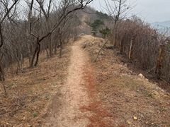 -浮山香苑
