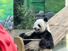 -临沂动植物园