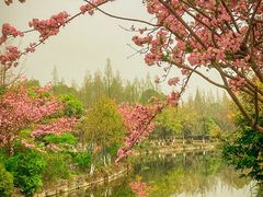 -成都南湖公园