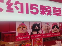 -K22.酸奶草莓(烟台芝罘店)
