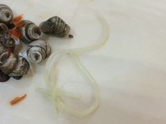 -印象柳螺·柳州螺蛳粉(员村西街店)