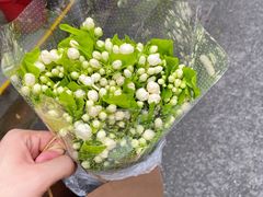 -循礼门鲜花花市(武汉循礼门店)