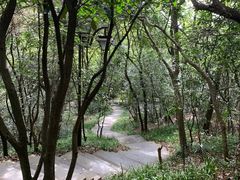 -杭州半山国家森林公园