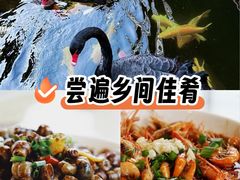 -湖鲜楼