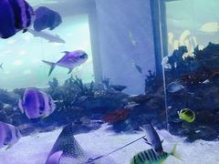 -常州海昌海洋探索馆
