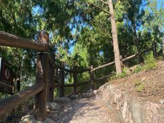 -北京十三陵国家森林公园蟒山景区