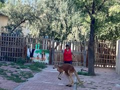 -水上乐园·欢乐世界