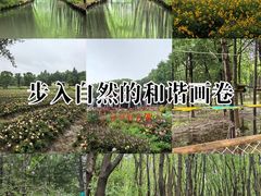 -同里国家湿地公园