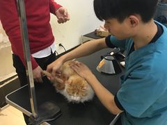 -创凡宠物医院·骨专科  猫科中心(西乡分院)