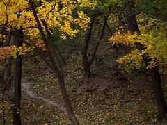 -香山公园