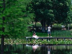 -白鹭湾湿地公园