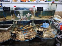 -鑫渔港海鲜本地菜·山海关浑锅(东戴河店)