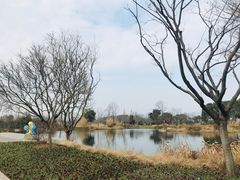 -良渚文化村